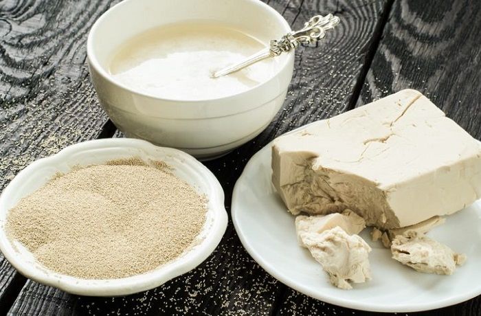 Levaduras para elaborar pan