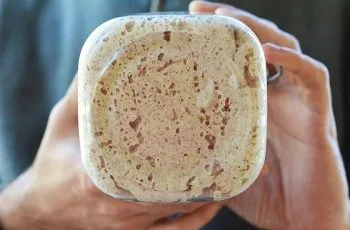 Masa madre